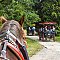 Alojamento HIPPOCLUB Lednice: Alojamento em pensões Lednice - Pensões